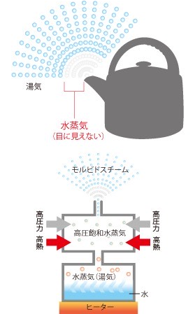 モルビドスチームとは