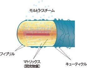 モルビドスチームの保水効果